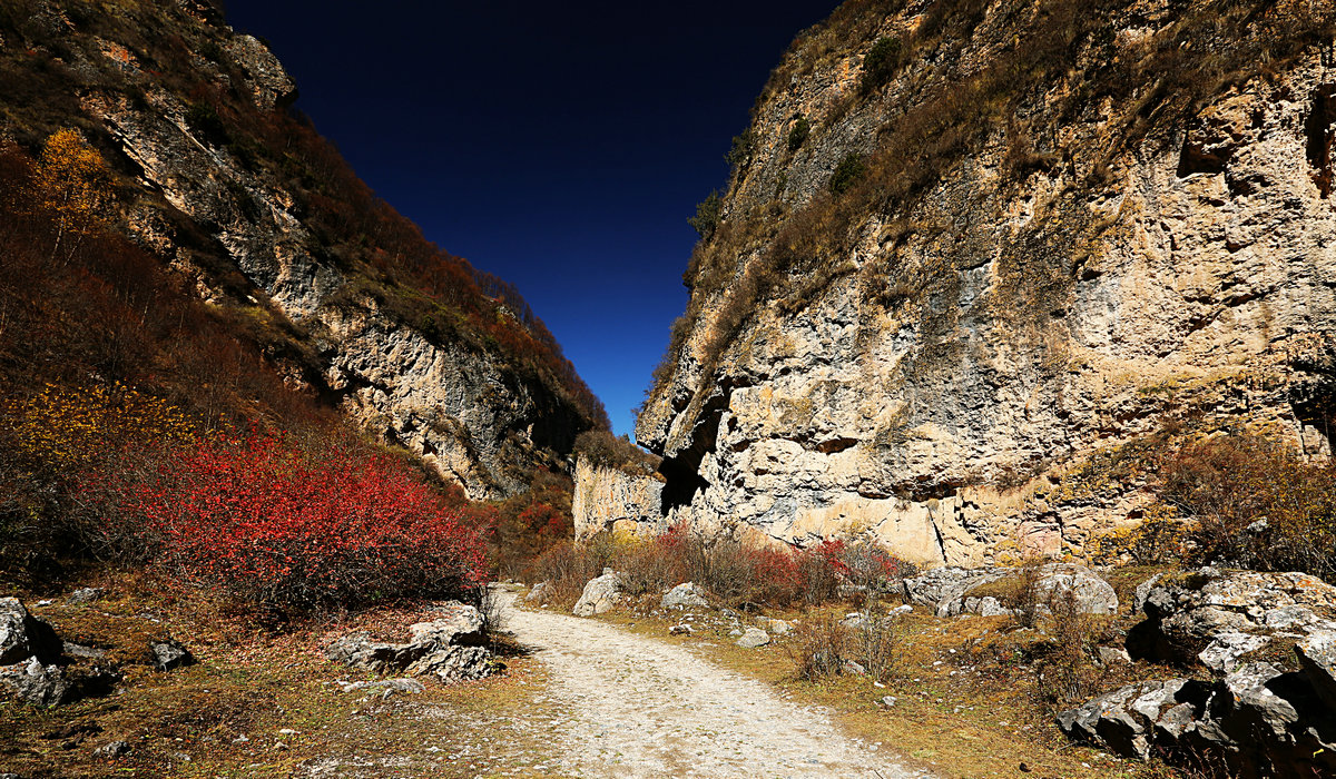 μԴط羰