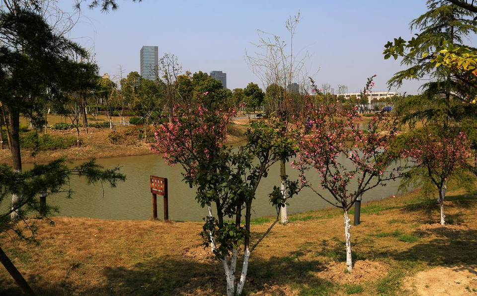 桐乡植物园扫描