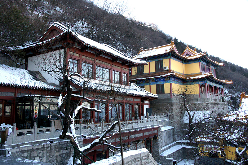 【为爱远征】坦克,请记住你的女孩旅途90经典大战怎么v坦克地图图片
