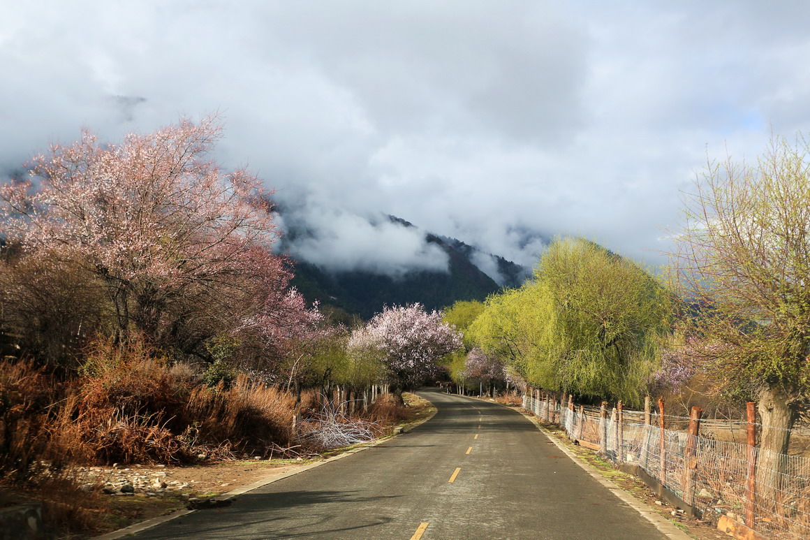 林芝地区桃花沟风景桌面壁纸