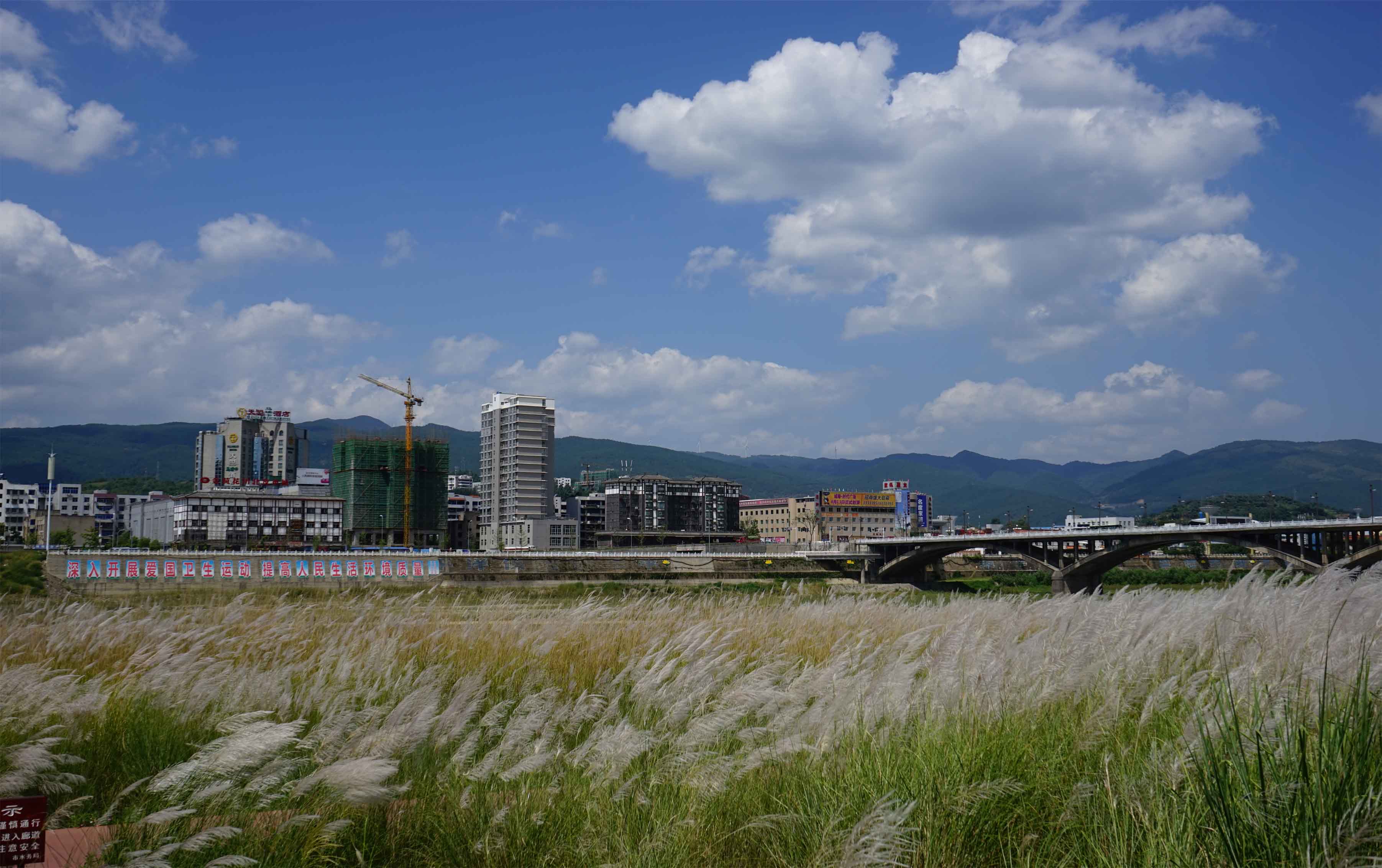 广元市 湿地 步行道